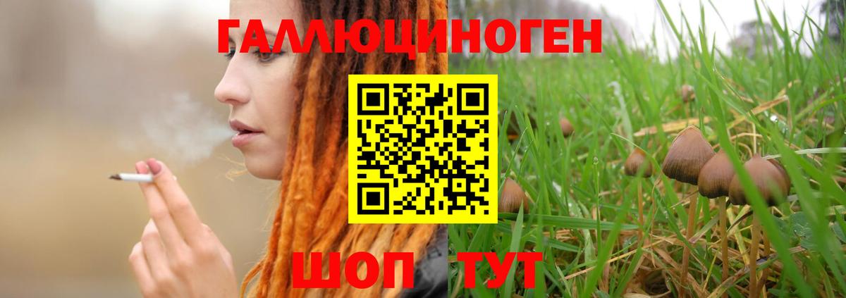 Псилоцибиновые грибы ЛСД Усть-Джегута